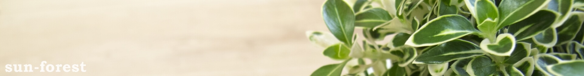 お灸の量が増えています