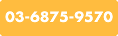 03-6875-9570
