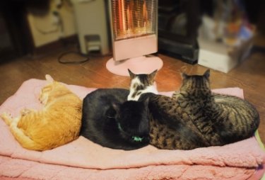 自粛生活での不調、不安へのアプローチ